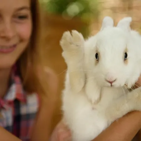 巴伐利亚生态酒店 4*