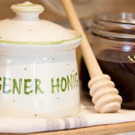 巴伐利亚生态酒店 酒店 4*