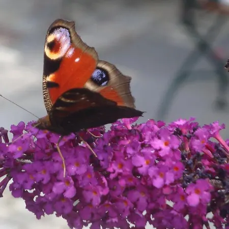 Bavaria Biohotel Garmisch-Partenkirchen