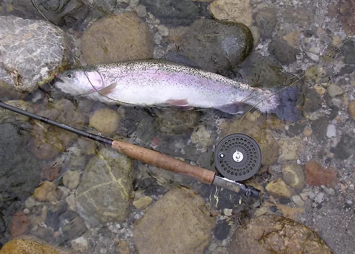 Bavaria Biohotel Garmisch-Partenkirchen