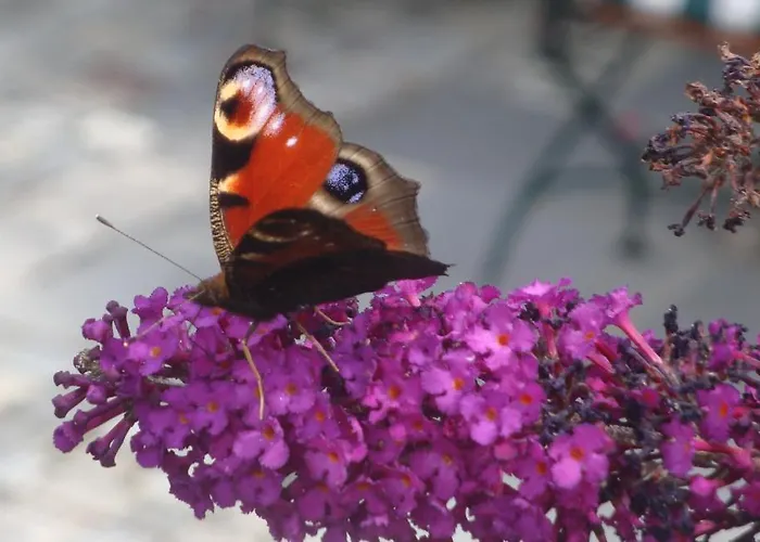 Bavaria Biohotel Garmisch-Partenkirchen